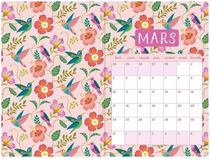 Immagine prodotto Auzou France La mia agenda creativa 2024-2025: con gli adesivi inclusi!