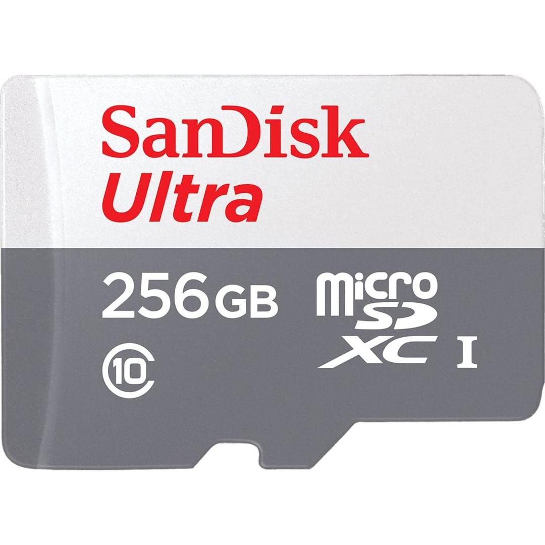 Thumbnail - SanDisk Ultra Lite microSDXC Ad. 256GB 100MB/s (256 GB, microSDXC, U1, UHS-I), Speicherkarte, Grau