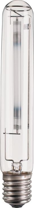 Produktbild Philips MST SON-T PIA Plus 150W/220 E40 - 1SL/12 (E40, 17700 lm, 1x)