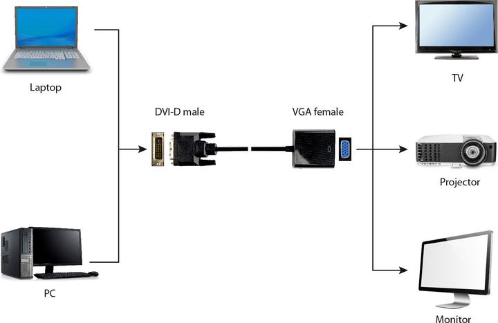 Produktbild Gembird Dvi — VGA (DVI, VGA, 20 cm)