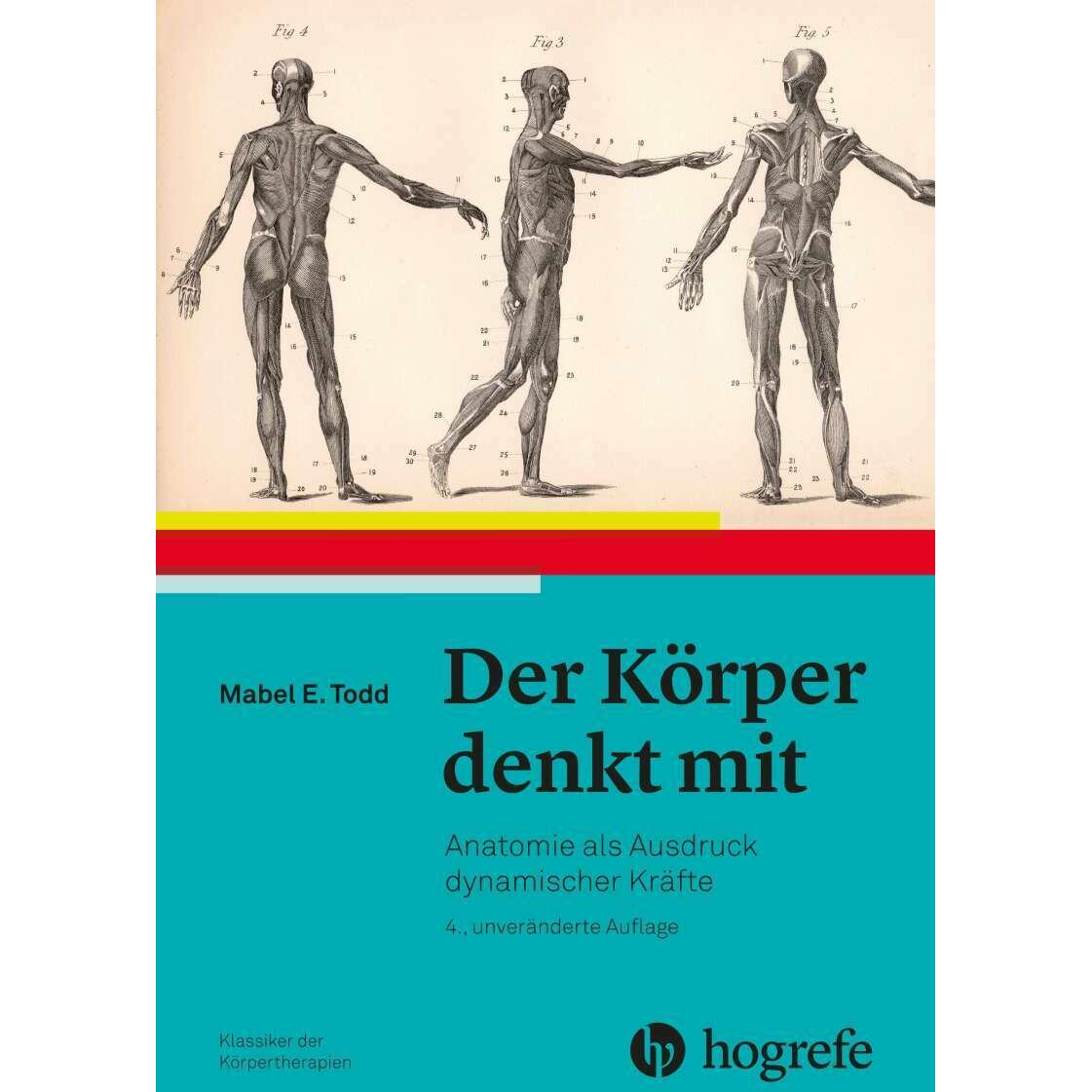 Der Körper denkt mit, Fachbücher von Mabel Elsworth Todd