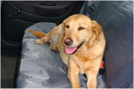 Produktbild Beeztees Bz Auto Schutzdecke Universal (Hund, Waschbar)