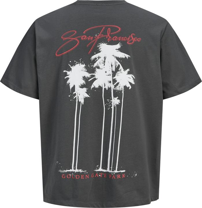 Actual product image Jack & Jones Jorbradley Goldengate Tee Ss C.N Stmss25 (S)