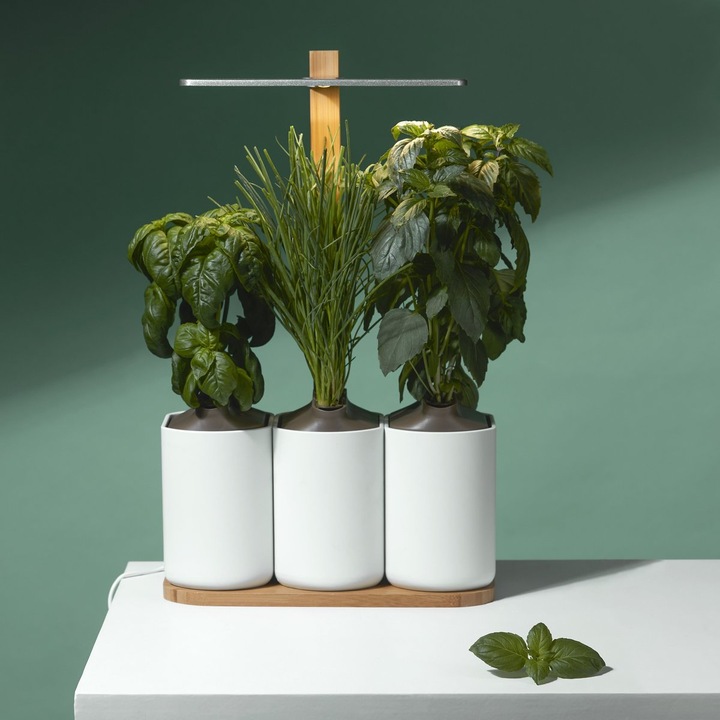 Produktbild Prêt à Pousser Lilo
