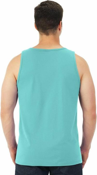 Immagine prodotto Fruit of the Loom Brezza del Cedro (250 ml, Profumo per capelli)