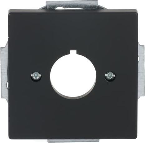 Actual product image Busch-Jaeger Central disc with support ring 2CKA001724A4301