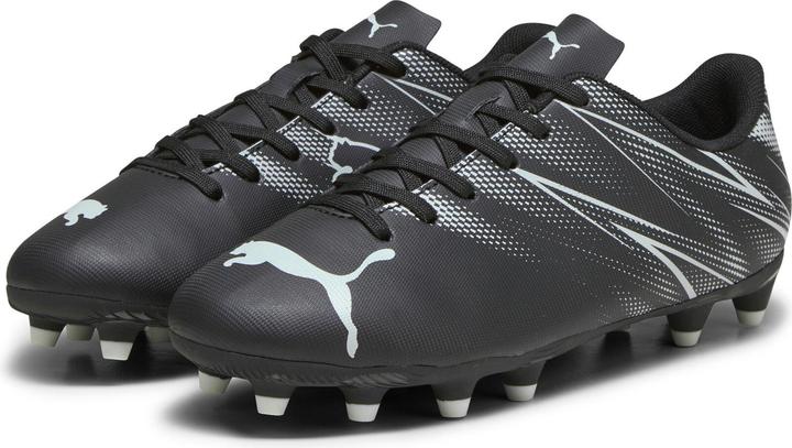 Produktbild Puma Attacanto Fg/Ag Jr (34)