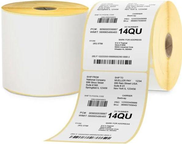 Image du produit Zebra LABEL PAPER Z-PERFORM 1000D DT (10.20 cm)