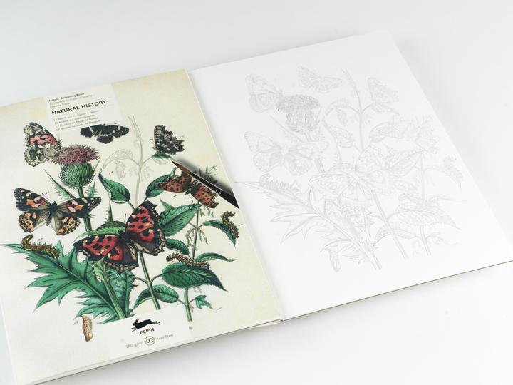 Produktbild Natural History (Deutsch, Englisch, Pepin Van Roojen, 2024)