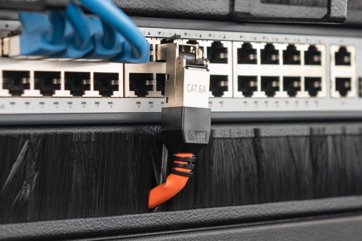 Actual product image Digitus CAT 6A Field Termination Plug bendable, STP with dust cap, bend relief (Network cable plug)