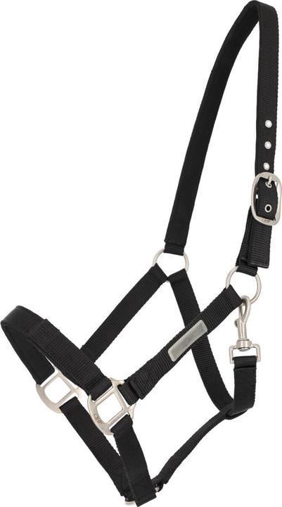 Immagine prodotto Qhp Capestro per cavallo