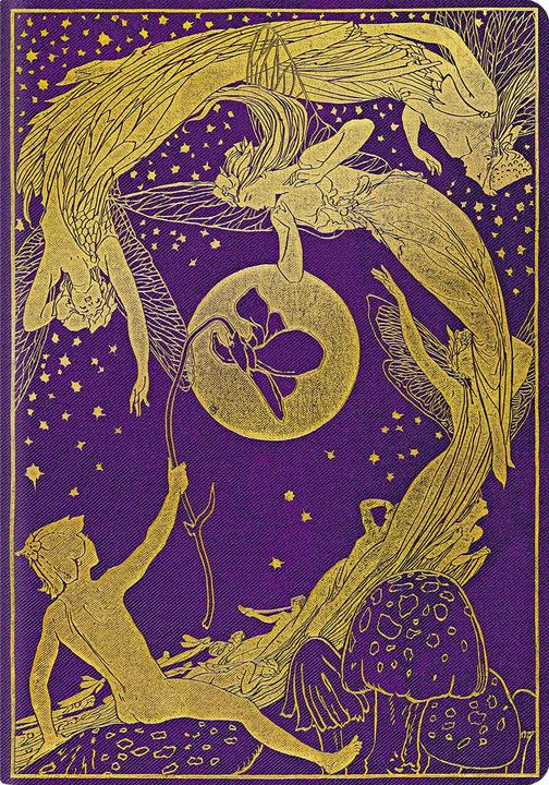 Immagine prodotto Paperblanks Notizheft A6 Violet Fairy (A6, Punteggiato, Copertina morbida)