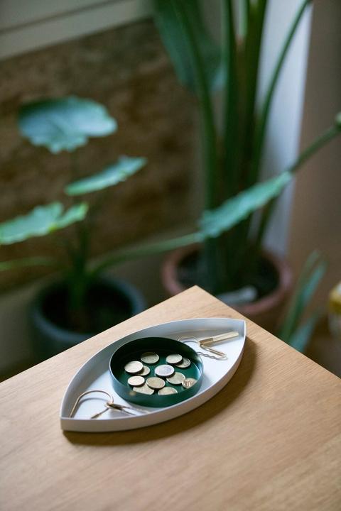 Immagine prodotto Doiy L'occhio bianco e verde