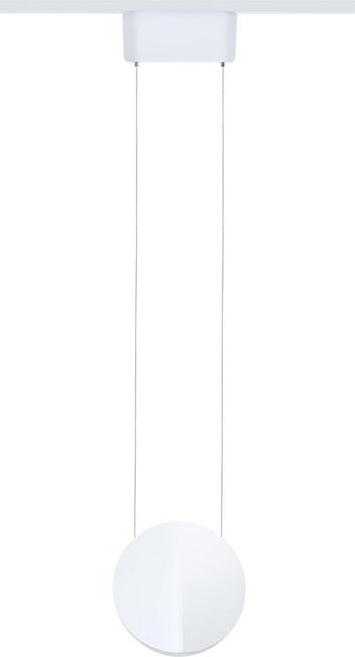 Produktbild Paulmann URail Pendel Alejandro (1000 lm)