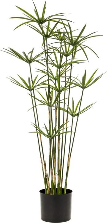 Immagine prodotto Emerald Pianta artificiale (90 cm)