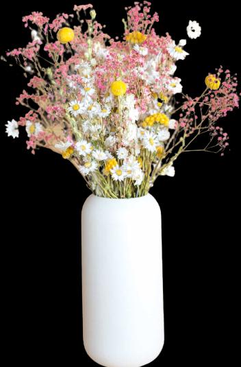 Image du produit la fleur douce Joyeux (Fleurs séchées)
