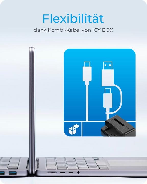 Immagine prodotto Icy Box IB-2914MSCL-C31 (2.5", M.2 2242, M.2 2260)