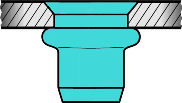 Actual product image Gesipa Blind rivet nuts A2 stainless steel countersunk head M 8 x 11 x 20