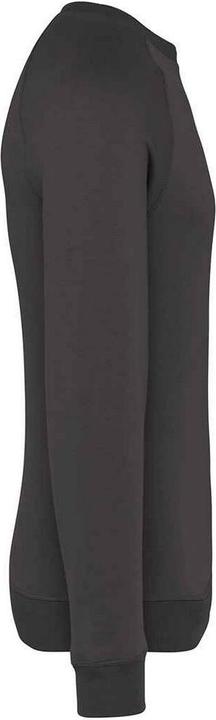 Immagine prodotto Native Spirit Felpa Raglan Adulto Unisex (S)