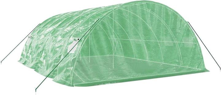 Actual product image vidaXL Gewächshaus