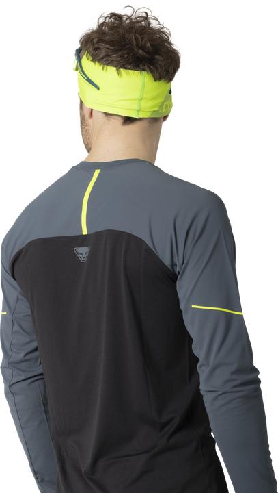 Produktbild Dynafit Alpine Pro Langarmshirt Herren (S)
