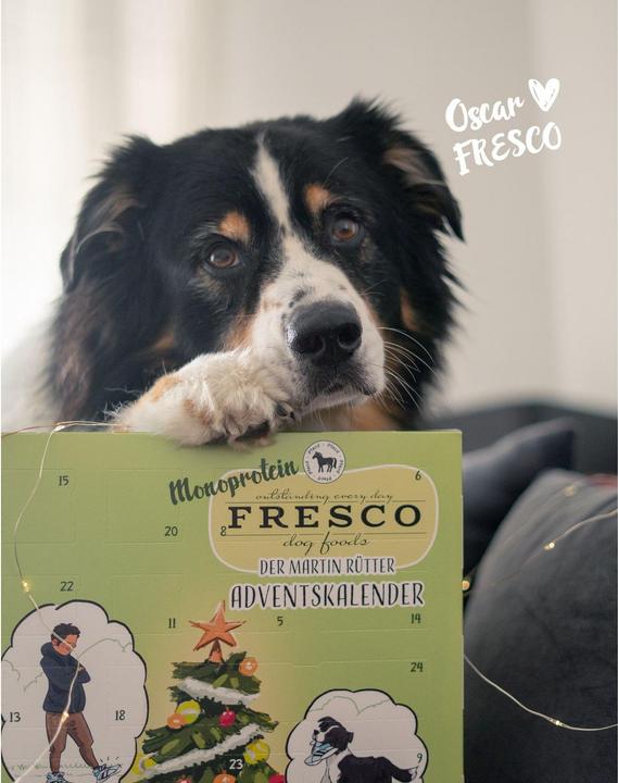 Actual product image Fresco Martin Rütter Adventskalender (Adult, 1 pcs., 180 g)