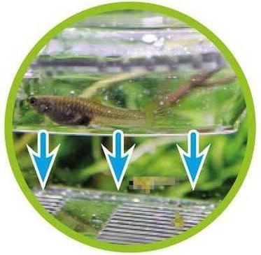 Produktbild Hobby Ablaichkasten NIDO 4