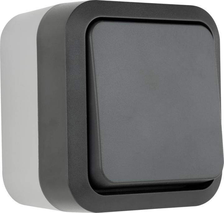 Actual product image REV Damp-proof cross switch AquaStorm, surface-mounted, grey