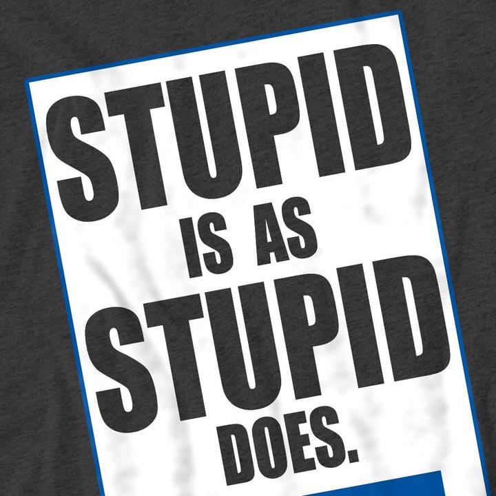 Actual product image Forrest Gump Unisex Adult Stupid Is T-Shirt (L)