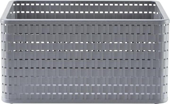 Immagine prodotto Rotho Paese (1 x, 36,8 x 27,8 x 19,1 cm)