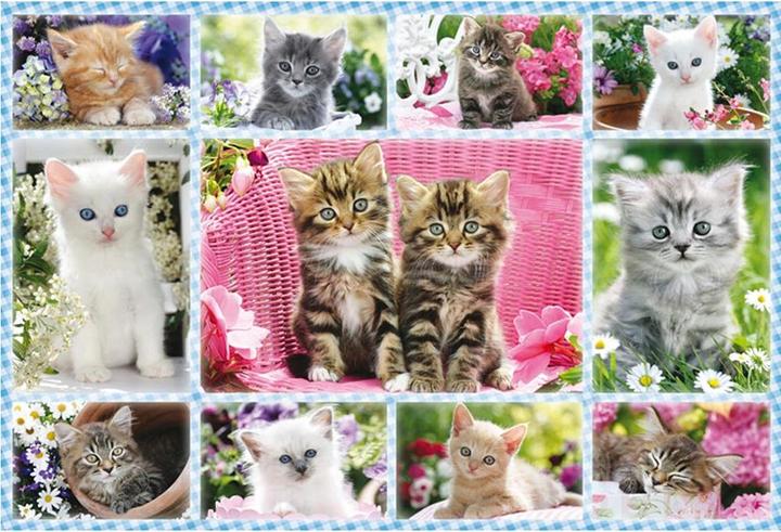 Actual product image Schmidt Spiele Cat babies (100 pieces)