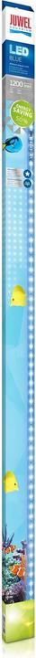Juwel Aquarium Blue (LED, 31 W)