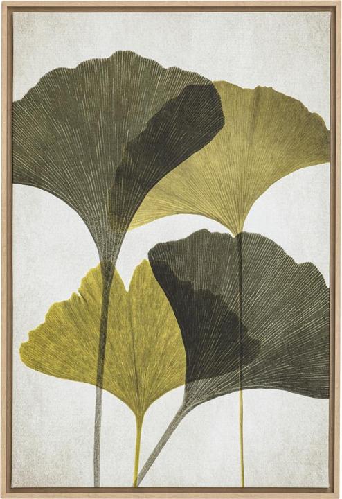 Immagine prodotto edy&liv Mosso (64 x 94 cm)