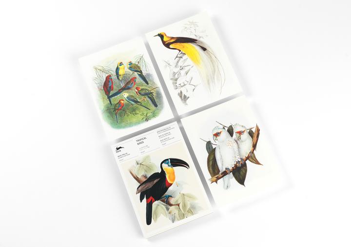 Actual product image Roojen:Tropical Birds (A5, Lined, Plain)