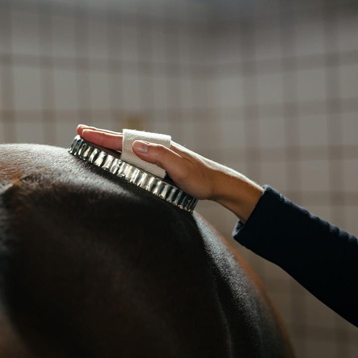 Produktbild Borstiq - Oval curry comb