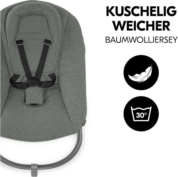 Actual product image Hauck Alpha Bouncer