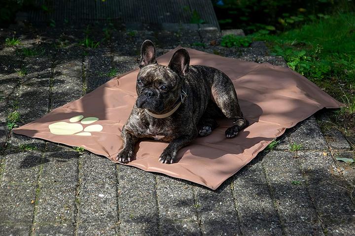 Produktbild Dobar Kühlmatte (Hund)