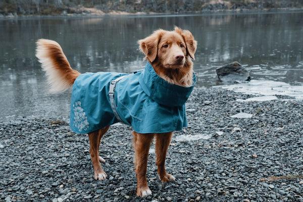 Produktbild Hurtta Monsoon Coat bilberry (40, Hundemantel)