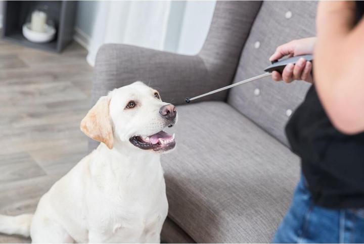 Produktbild Trixie Target Stick (One Size, Erziehung)