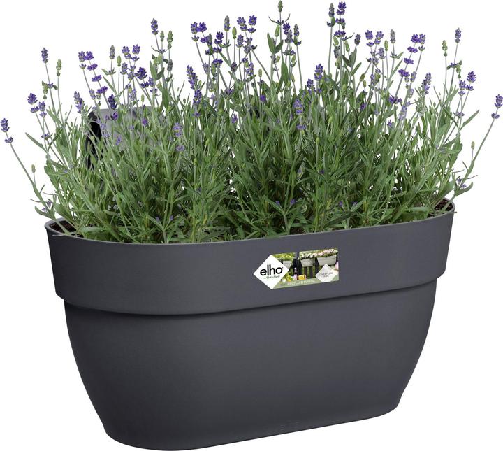 Produktbild Elho Blumenschale (36 cm)
