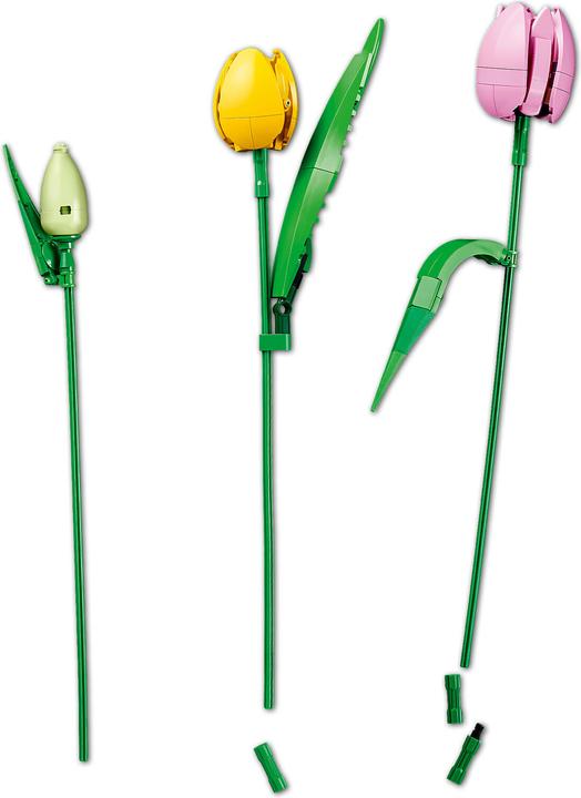Image du produit LEGO Tulpenstrauss (11501, LEGO Botanical)