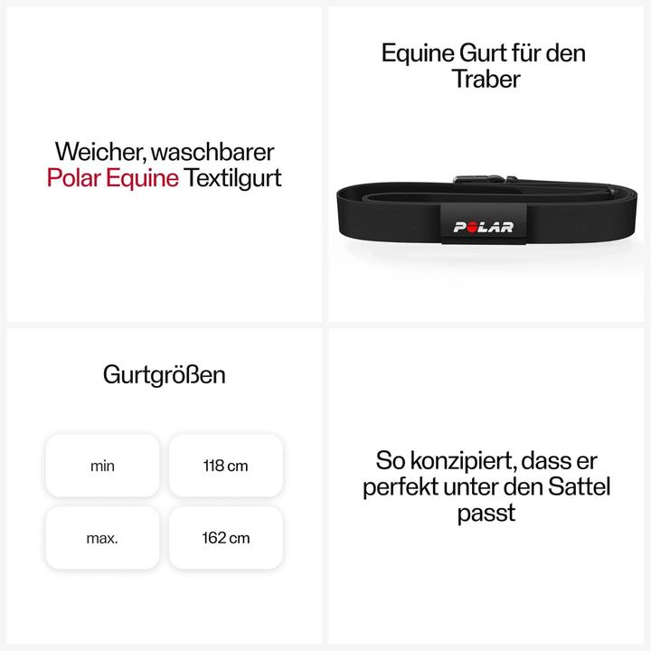 Image du produit Polar Sangle Equine 93046682