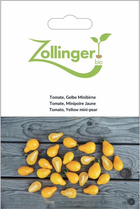 Immagine prodotto Zollinger Bio Pomodoro, Mini pera gialla (Germogli)