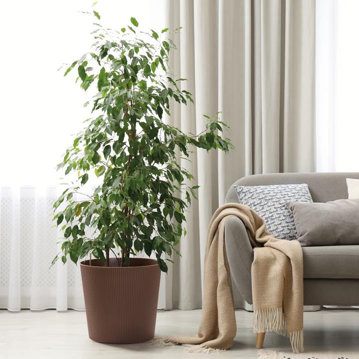 Produktbild Euro3plast Blumentopf Fyre Ø 35 cm rost Greener, mit Rollen