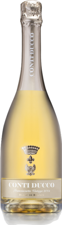 Produktbild Conti Ducco Franciacorta Blanc de Blanc (1 x 75 cl)