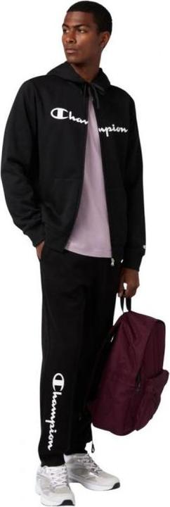 Actual product image Champion Herren-Kapuzenpullover (L)