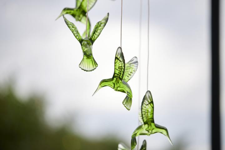 Immagine prodotto Star Trading Colibrì