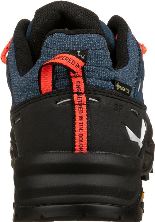 Image du produit Salewa Alp Trainer 2 GTX (43)