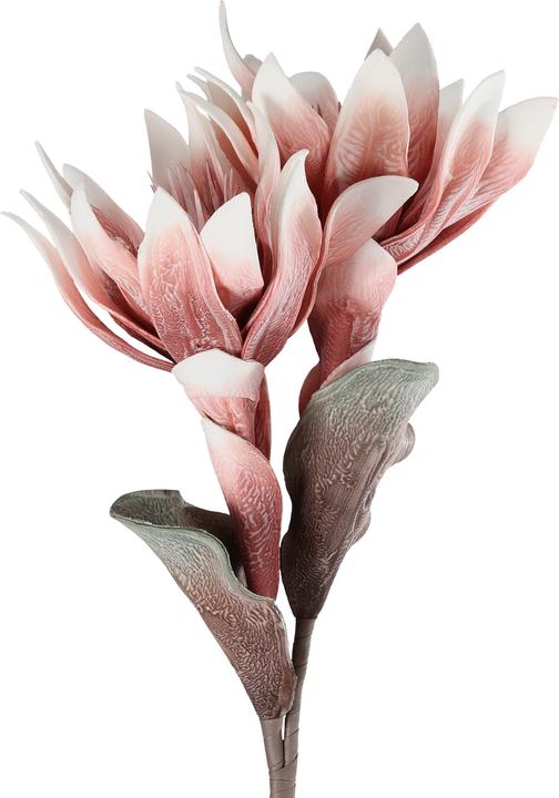 Produktbild EGLO LIVING Molave (28 cm)