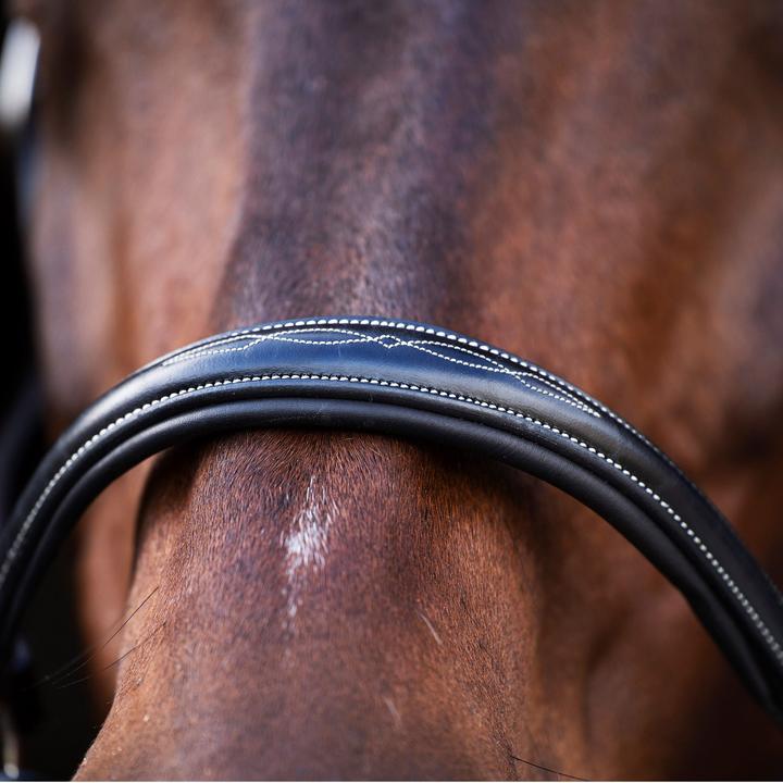 Immagine prodotto HV Polo Legacy